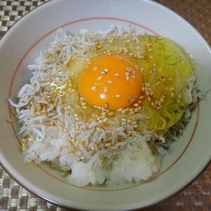 簡単☆ごま油香る♪ちりめんじゃことごまの卵かけご飯